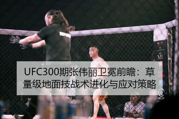 UFC300期张伟丽卫冕前瞻：草量级地面技战术进化与应对策略